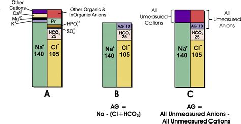 Anion Gap Interpretation