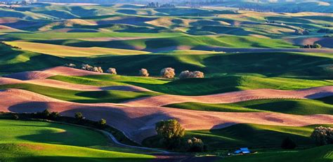 The famous hills of Palouse