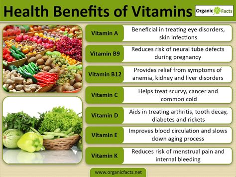 10 Vitamin dan Mineral Bermanfaat untuk Mengatur Fungsi dan Cara Kerja Tubuh secara Maksimal ...