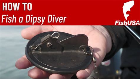 How to Fish a Dipsy Diver Simplified with Lake Erie Charter Captain ...