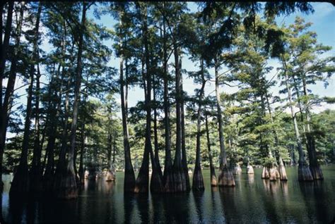 East Texas Attractions