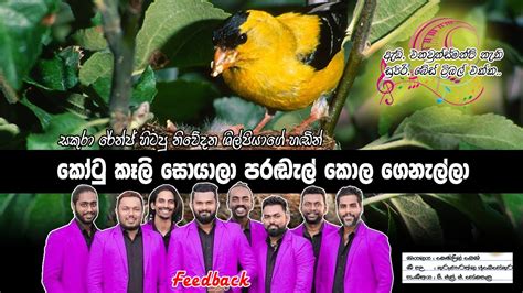 Kotu Keli Soyala - කොටු කෑලි සොයාලා පරඩැල් කොල ගෙනැල්ලා - YouTube