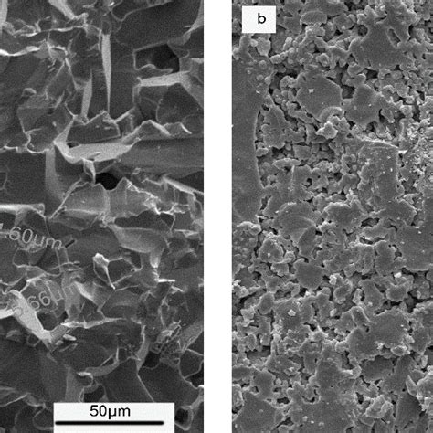 Micrographs of the two ceramics: (a) Microstructure of alumina and (b)... | Download Scientific ...