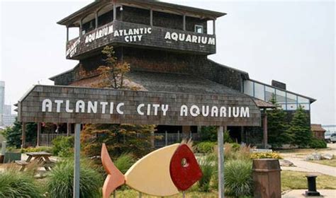 Atlantic City Aquarium, atlantic city, United States Of America - Top ...