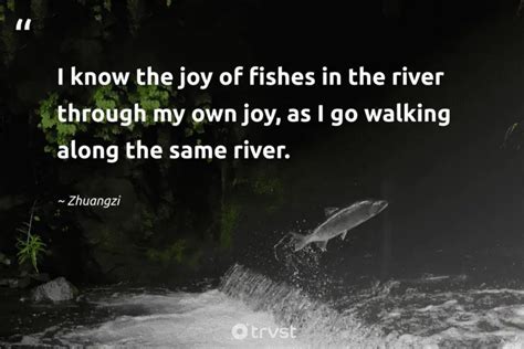 56 River Quotes to Navigate Life’s Currents and Meanders