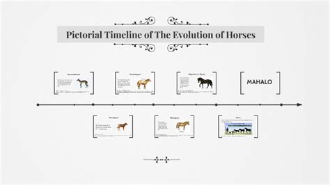 Pictorial Timeline of The Evolution of A Horse by Shaelynne Monell-Lagaret on Prezi