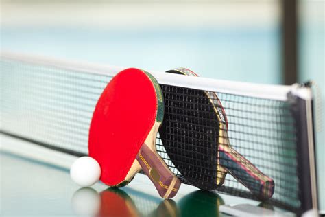 Rackets for table tennis at the net wallpapers and images - wallpapers, pictures, photos