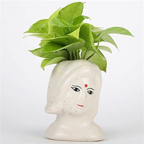 Buy/Send Lucky Money Plant In Ceramic Pot Online- FNP