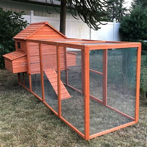 Ultimate Buyer's Guide to Chicken Coop Kits - Foter