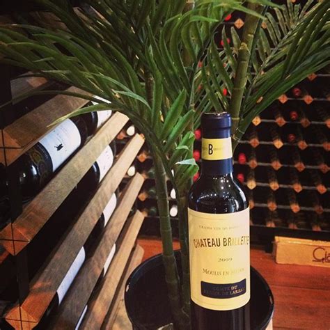 Half Bottles on Instagram: “Delicious half bottles of wine in trees. It's totally a thing ...