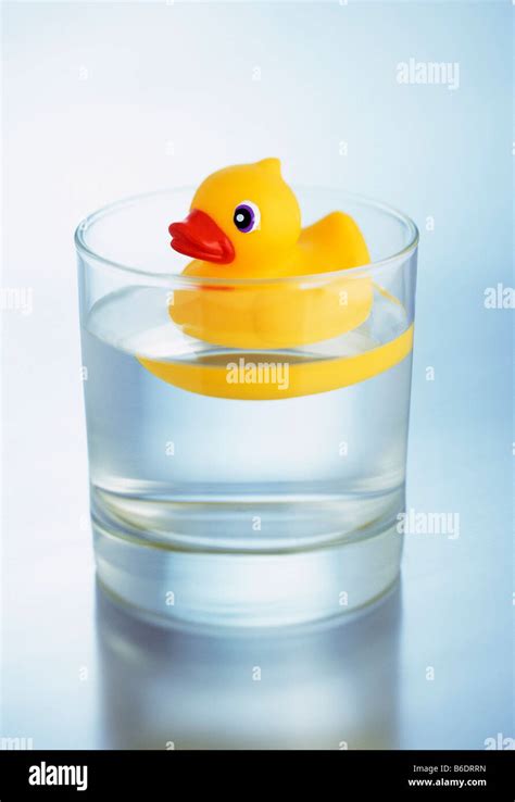 Toy duck floating on water inside a glass of water Stock Photo: 21202377 - Alamy