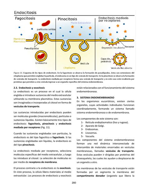 ≡ ISSUU ᐈ CIENCIAS NATURALES_10 ebook pdf