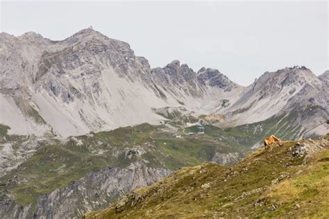 Looking for an Epic Adventure? Hiking in Austria: The Arlberg Trail ...