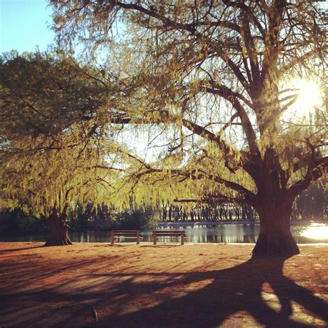 Bosques de Palermo, Buenos Aires Palermo, Ellie, Life Is Good ...