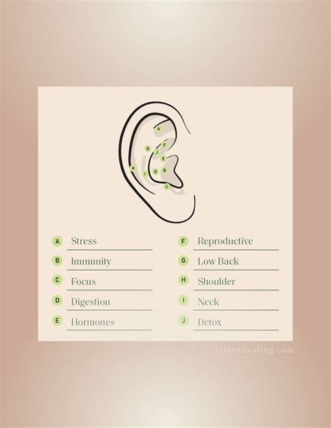 Ear Acupressure Seeding Therapy in Portsmouth, Ri + Tiverton, RI for ...