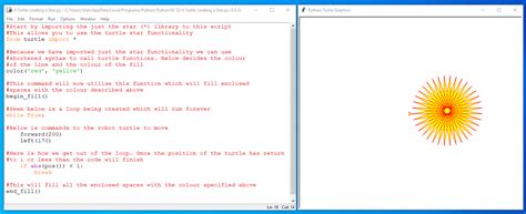 Swell Python Scripts with the Turtle Library - Tutorial Australia