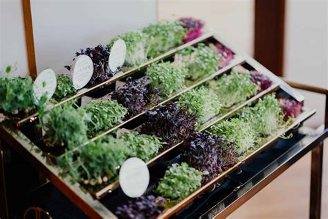 15 Indoor Herb Garden Ideas For 2023 - A Nest With A Yard