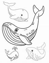Have A Whale Of Time With These Free Coloring Pages sketch template