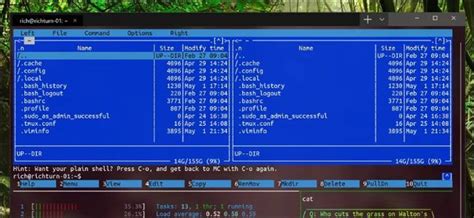 Microsoft’s New Windows Terminal Is Now Available