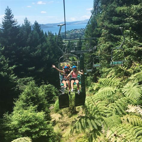 L U G E 🛷 Amazing luge ride in Rotorua w/ gondola ride through the trees! | Luge ride, Luge, Rotorua