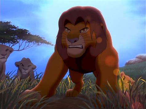 Simba from "the lion king"! Be looks a bit angry! | Lion king pictures, Lion king movie, Lion ...