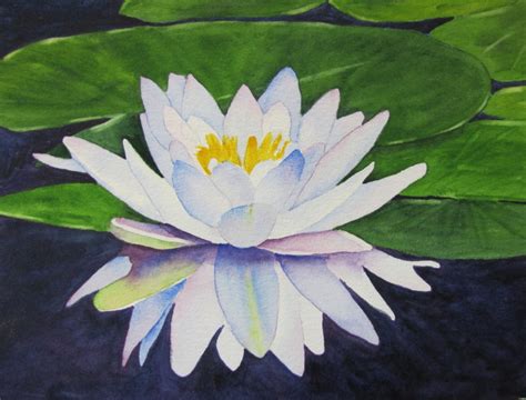 Artist Barbara Rosenzweig's Blog: Art, Gardening, Photography, and Ramblings: WHITE WATER LILY ...