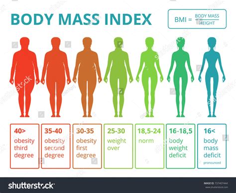 Vektor Stok Medical Infographics Illustrations Female Body Mass (Tanpa ...