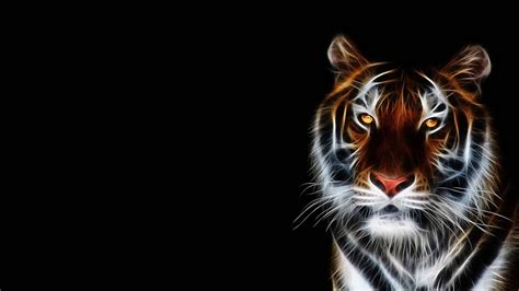 Tiger Picture 3d | Tiger pictures, Animal wallpaper, Tiger wallpaper