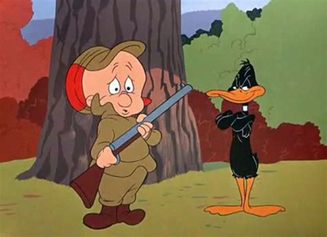 Elmer Fudd & Daffy Duck | Daffy duck, Looney tunes cartoons, Looney tunes characters