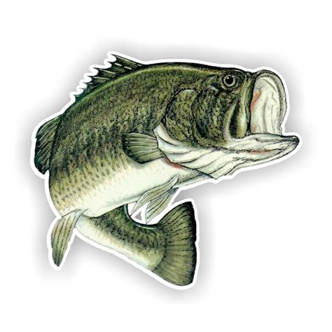 Largemouth Bass Fish Die Cut Decal