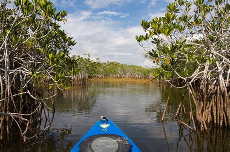 Kayaking the Florida Everglades, if you dare - The Washington Post