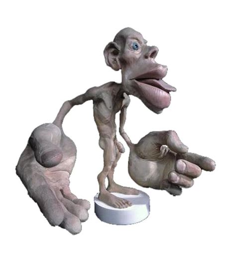 According to the sensory homunculus model, the hands have the largest relative… | Homunculus ...