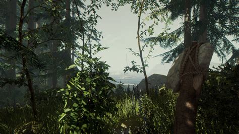 The Forest VR Free Download (v1.12) – Gamdie