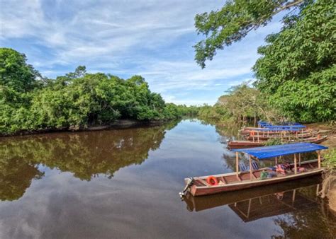 Visiting the Bolivian Amazon Rainforest in 2024: Complete guide