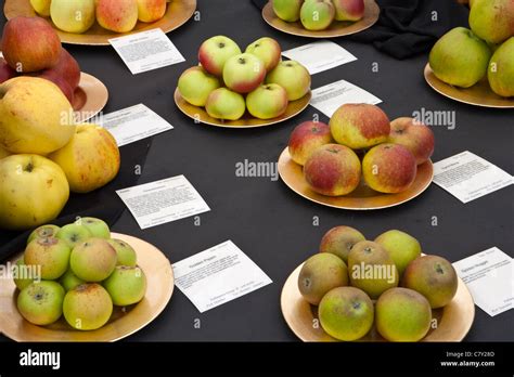 Old english apple varieties hi-res stock photography and images - Alamy