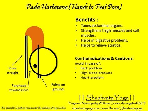 Pada Hastasana(Hands to Feet Pose) Sanskrit words "Pada" (meaning "Feet"), “Hasta" (meaning ...