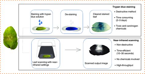 Comparison between the traditional trypan blue staining method and a ...