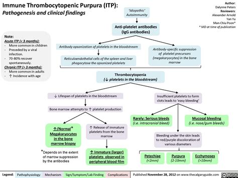 Immune thrombocytopenic purpura (ITP) | Calgary Guide