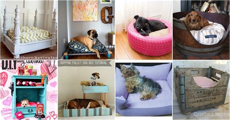 20 Easy DIY Dog Beds and Crates That Let You Pamper Your Pup - DIY & Crafts