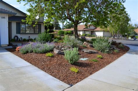 Large Corner Lot Conversion Generates Significant Water Savings | Water wise landscaping, Front ...