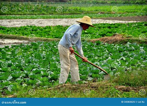 Pengzhou, China: Farmer Working In Field Editorial Image - Image: 34383625