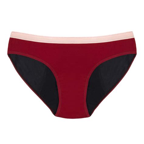 Buy Thinx (BTWN) Bikini Panties | Period Underwear for Teen Girls | Menstrual Underwear ...