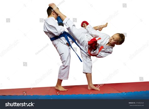 276 Karate Girl Beats Boy Images, Stock Photos & Vectors | Shutterstock