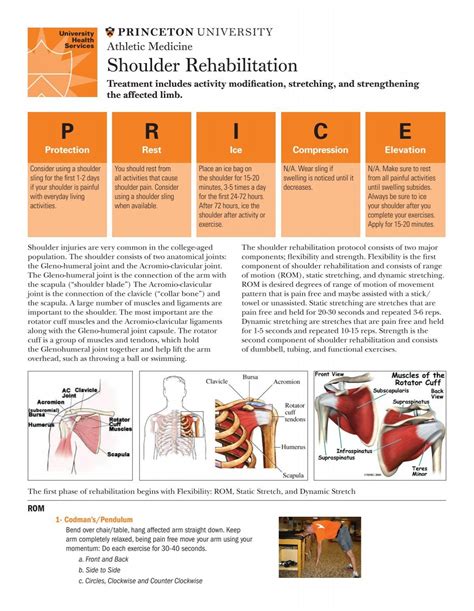 Shoulder Rehabilitation