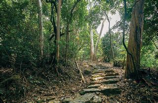 Hong Kong Hiking trails that the whole family will love