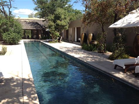 The BEST Safari Lodge Pool! http://www.classictravel.com/specialty-travel/lance-s-south-african ...