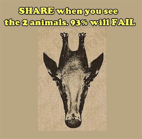 Can You See The 2 Animals? | Funny illusions, Brain teasers pictures, Cool illusions