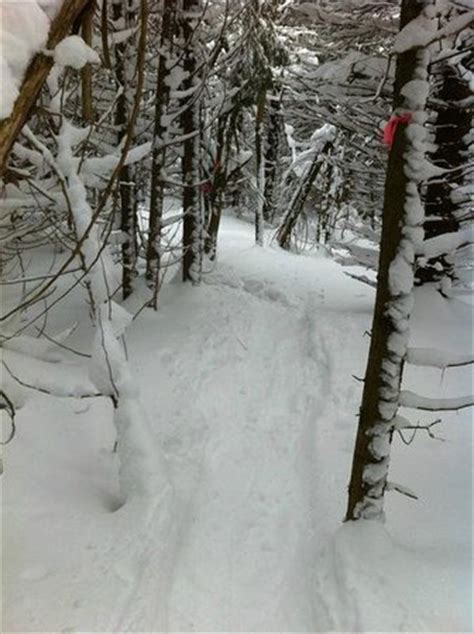 Highlands Nordic (Duntroon) - All You Need to Know BEFORE You Go - Updated 2020 (Duntroon ...