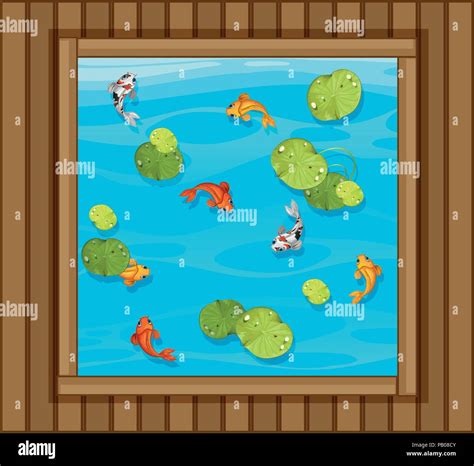 A top view of fish pond illustration Stock Vector Image & Art - Alamy