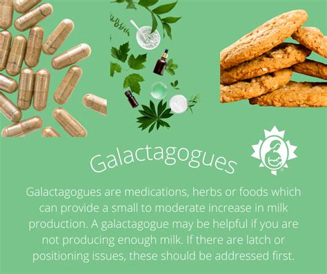 Galactagogues | La Leche League Canada - Breastfeeding Support and ...